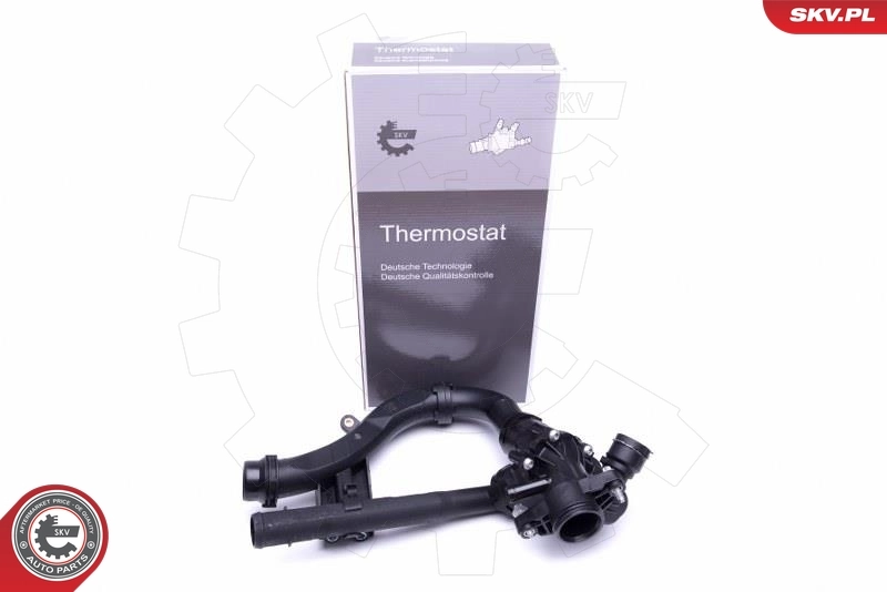 Thermostat, coolant